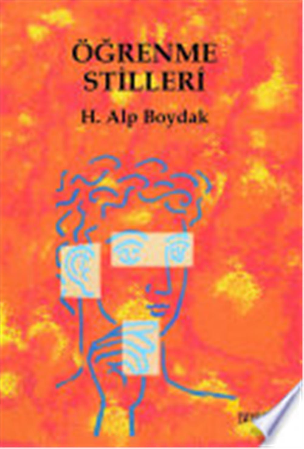 ÖĞRENME STİLLERİ - ALP BOYDAK