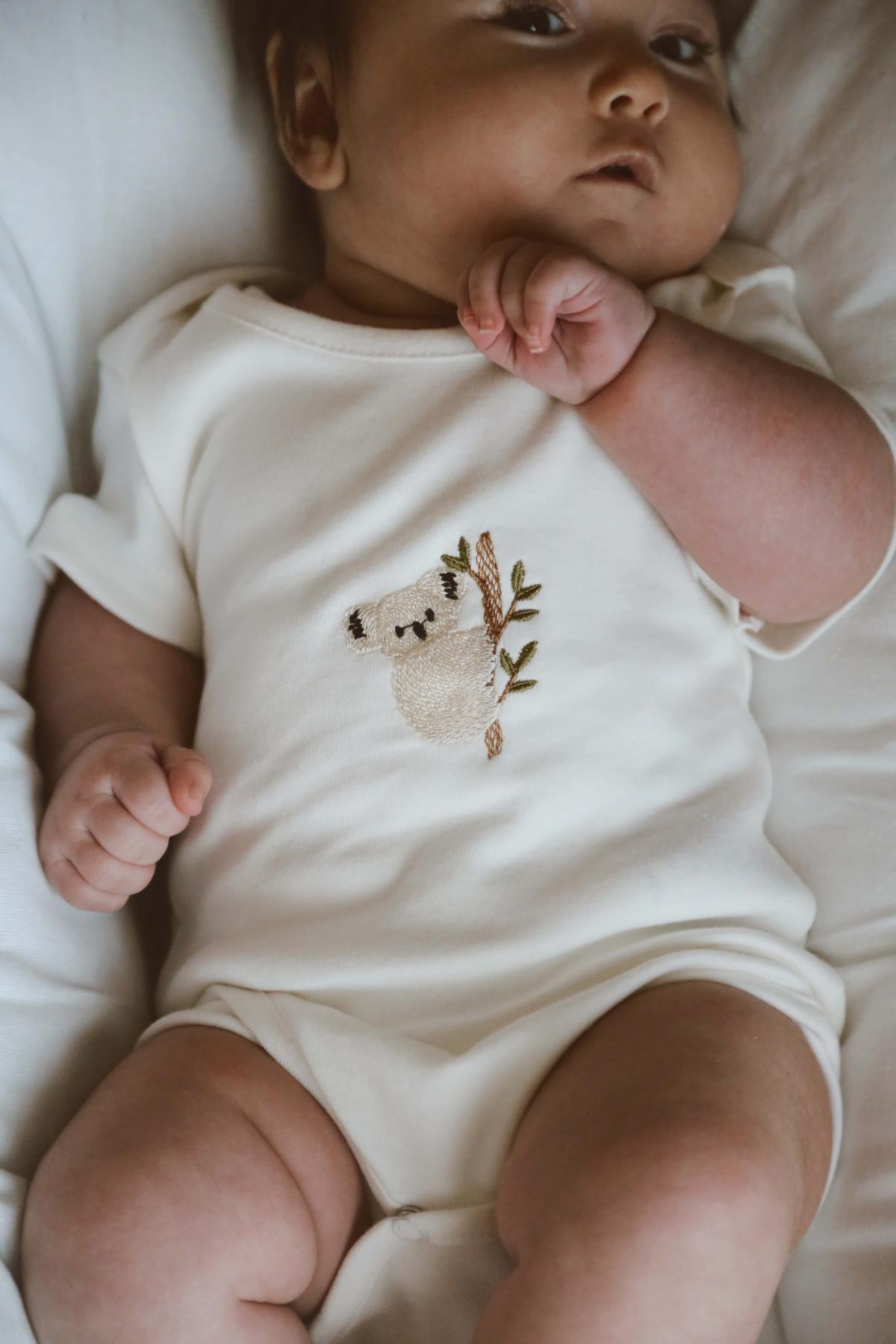 Koala Nakışlı Çıtçıtlı Body Zıbın