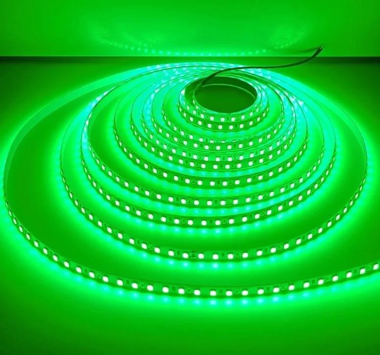 Cata Şerit Led 10 Çipli Yeşil Işık CT-4483- 5 Metre