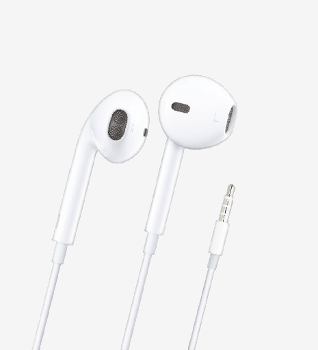 LinkTech Mikrofonlu Kulak içi Earphone Kulaklık USB-C