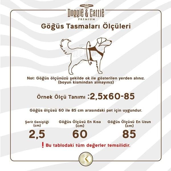 Cattie Havalı Dokuma Kedi Göğüs ve Gezdirme Takımı Medium Bej 1x25-35 Cm