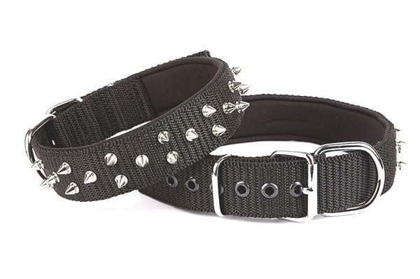 Doggie Comfort Dokuma Çivili Köpek Boyun Tasması Medium Siyah 4x52-60 Cm