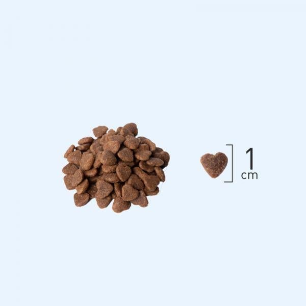 Natura Düşük Tahıllı Tavuk_Yabanmersini Evde Yaşayan Kedi Maması2,25Kg