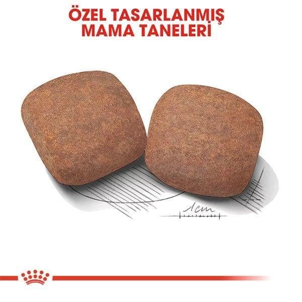 Royal Canin Giant Adult Dev Irk Yetişkin Köpek Maması 15 Kg
