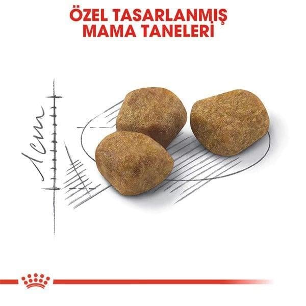 Royal Canin İndoor 7+ Senior Yaşlı Kedi Maması 1.5 Kg