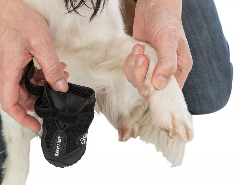Trixie Köpek Yürüyüş Botu 2 Adet XL Siyah