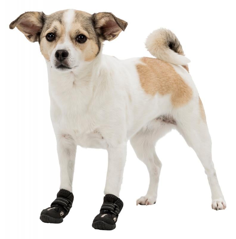 Trixie Köpek Yürüyüş Botu 2 Adet XL Siyah
