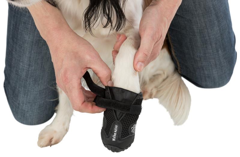 Trixie Köpek Yürüyüş Botu 2 Adet XL Siyah