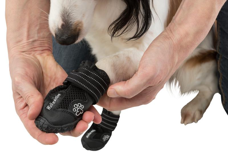 Trixie Köpek Yürüyüş Botu 2 Adet XL Siyah