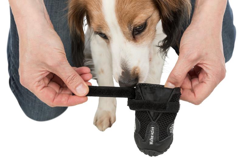Trixie Köpek Yürüyüş Botu 2 Adet XL Siyah