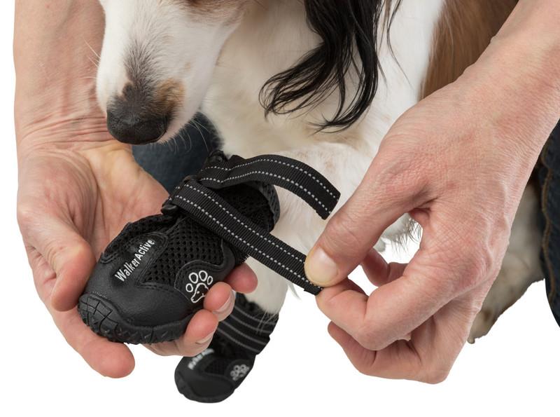 Trixie Köpek Yürüyüş Botu 2 Adet XL Siyah