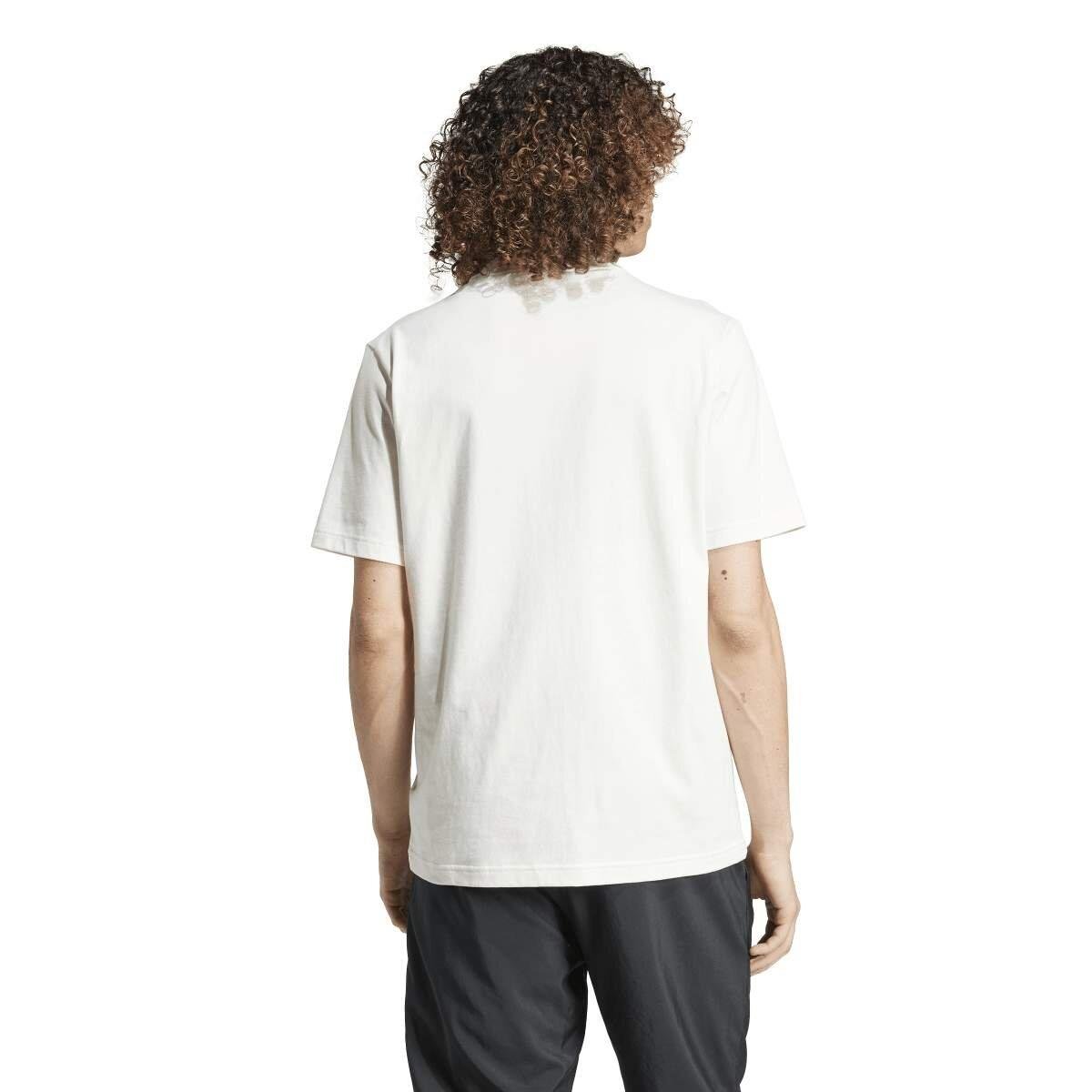ADIDAS JF3327 M CE TEE GD
