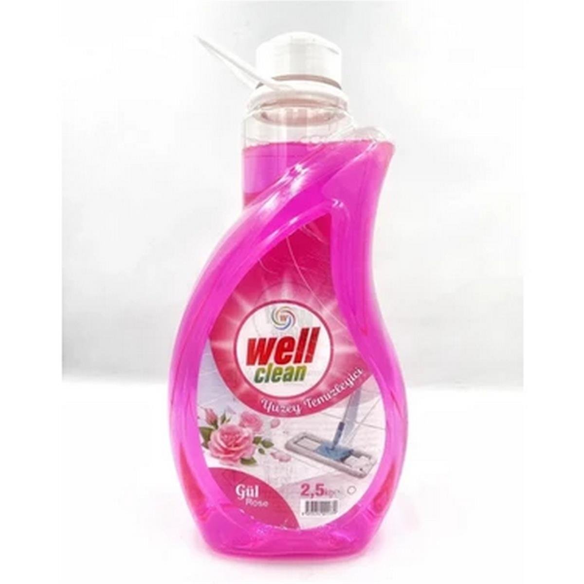 WELL CLEAN YÜZEY TEMİZLEYİCİ 2.5 KG