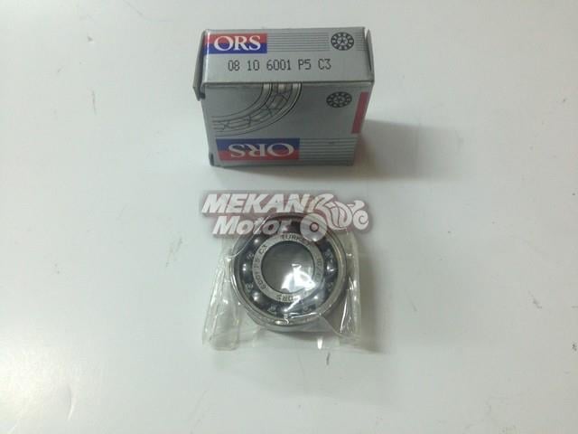 6001 C3 RULMAN ORS