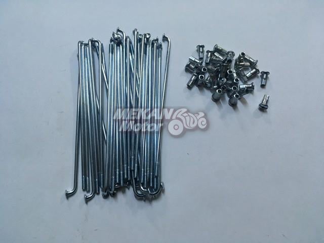 WHEEL SPACE 162-3,5 36 PIECES 1 RIM SCALE 110 FT