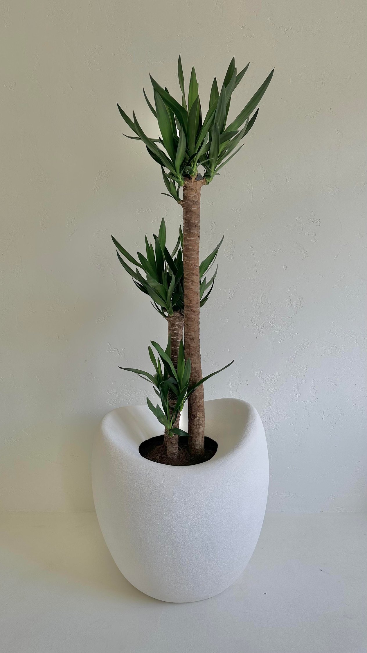 Luna Saksı 65 CM