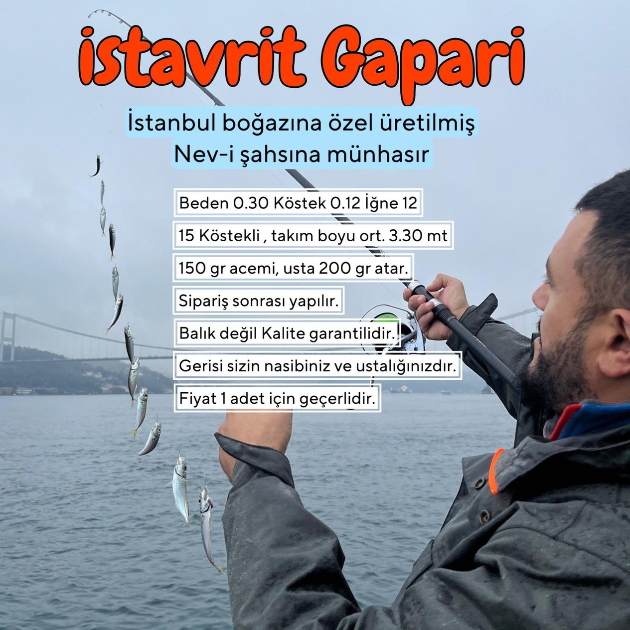 GAPARİ - İstanbul boğazına özel Gazi Fishing İstavrit Çaparisi