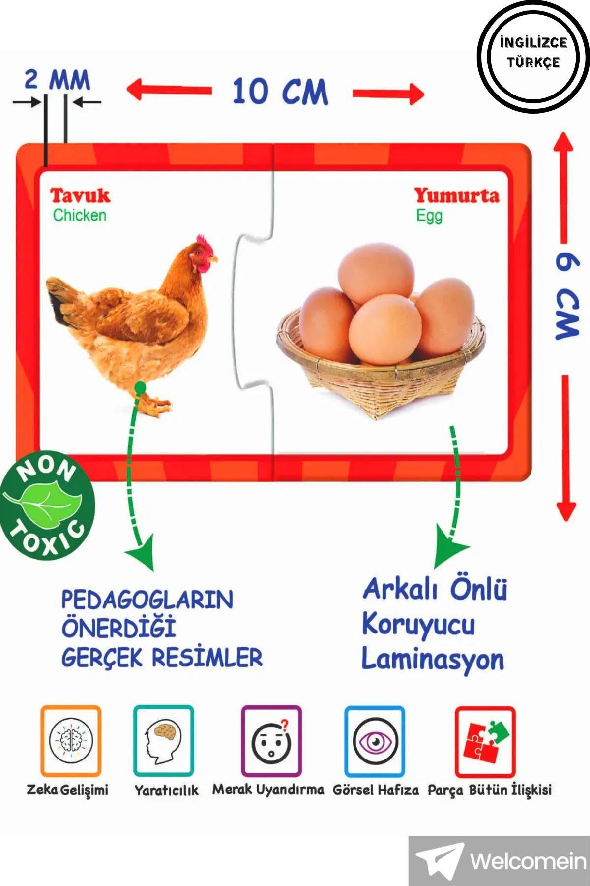 İlişki - Bağlantı Kurma 2-6 Yaş Eğlenceli Bulmacalar Puzzle Eşleştirme Zeka Kartları 60 Parça