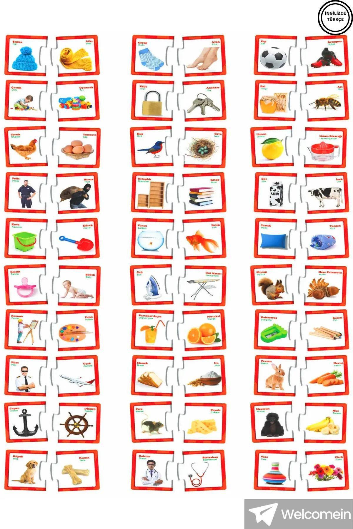 İlişki - Bağlantı Kurma 2-6 Yaş Eğlenceli Bulmacalar Puzzle Eşleştirme Zeka Kartları 60 Parça