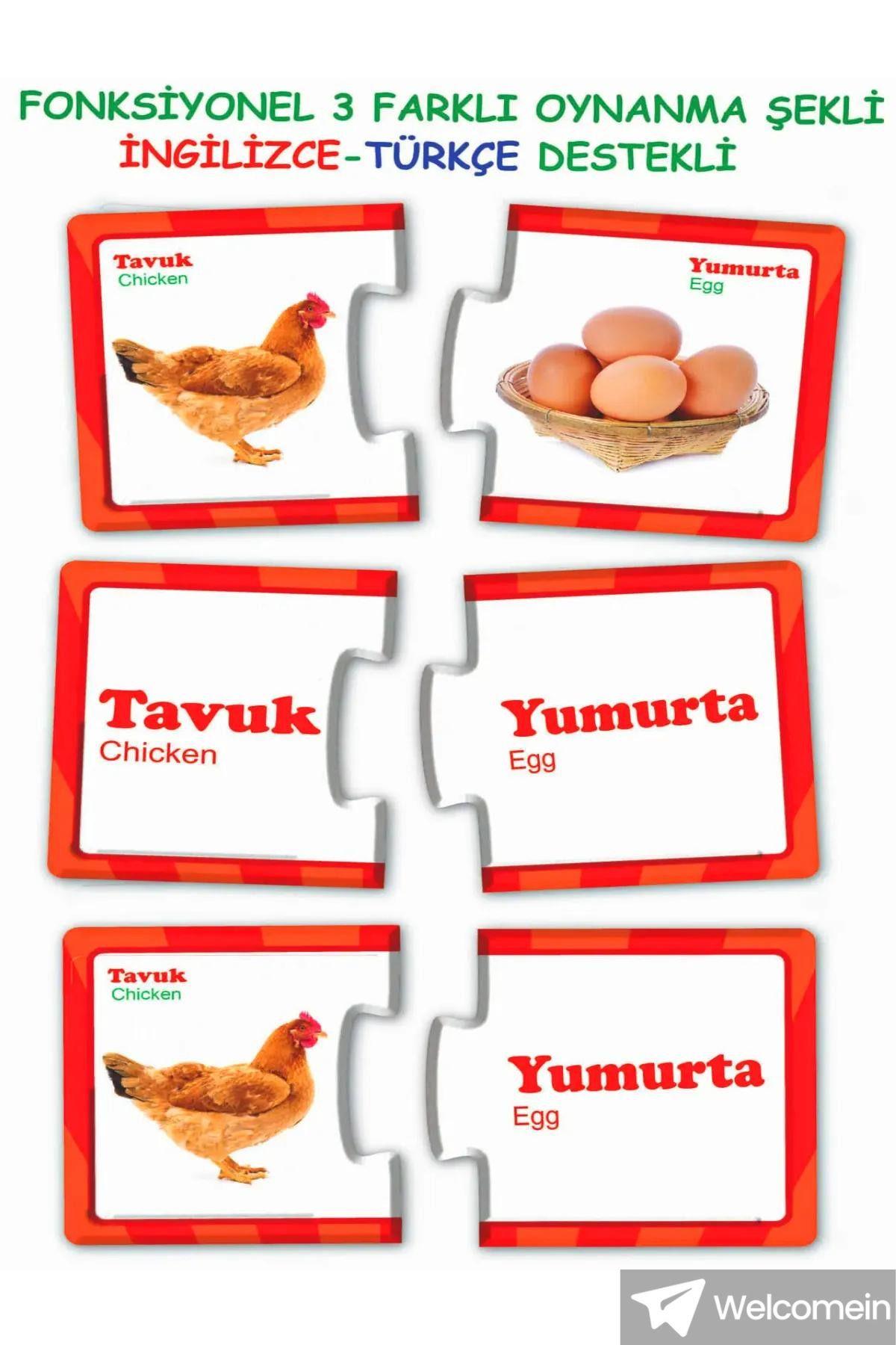 İlişki - Bağlantı Kurma 2-6 Yaş Eğlenceli Bulmacalar Puzzle Eşleştirme Zeka Kartları 60 Parça