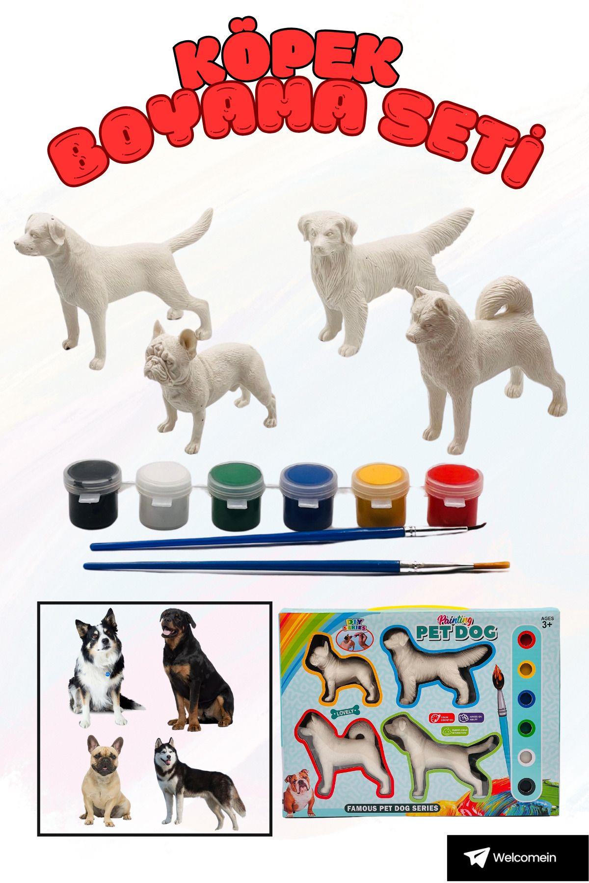 Köpekler Hayvan Boyama Seti 4'lü, 3D Figür ,Yıkanabilir Fırça Boya Hediyeli, Kutulu Eğitici Öğretici