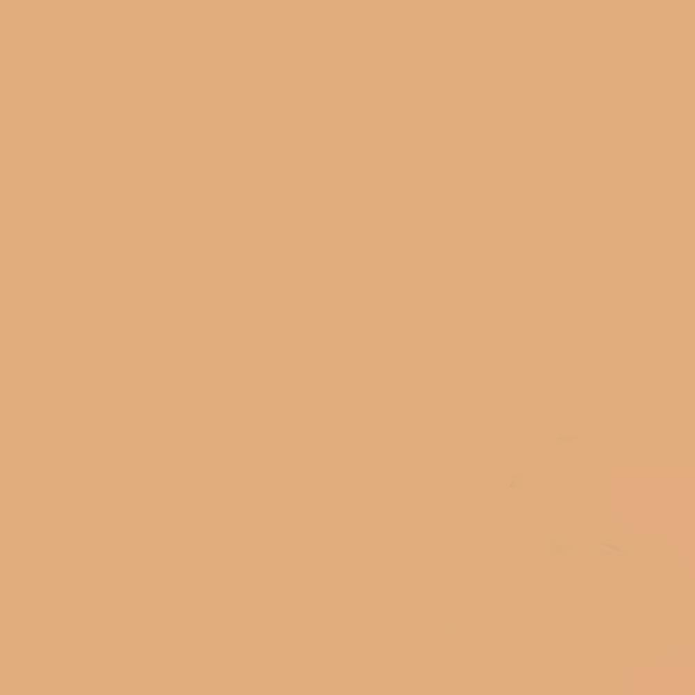Gdx Kağıt Sonsuz Stüdyo Fon Perde (Beige) 2.70x11 Metre