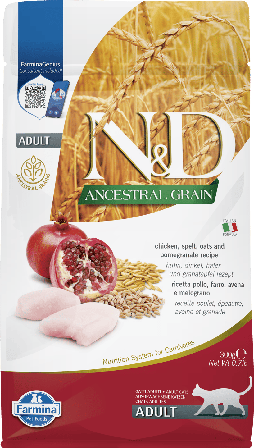 ND Ancestral Grain Tavuk&Nar Adult 300G