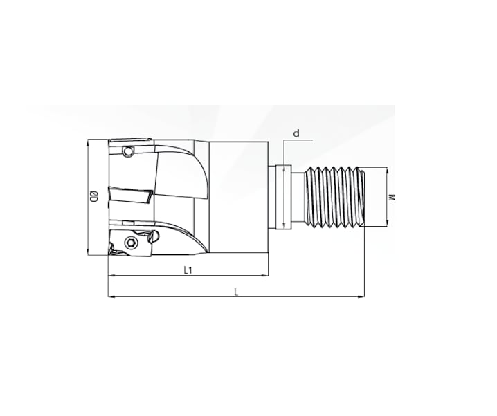 16X2 M08 Apkt 10 Vidalı Takım