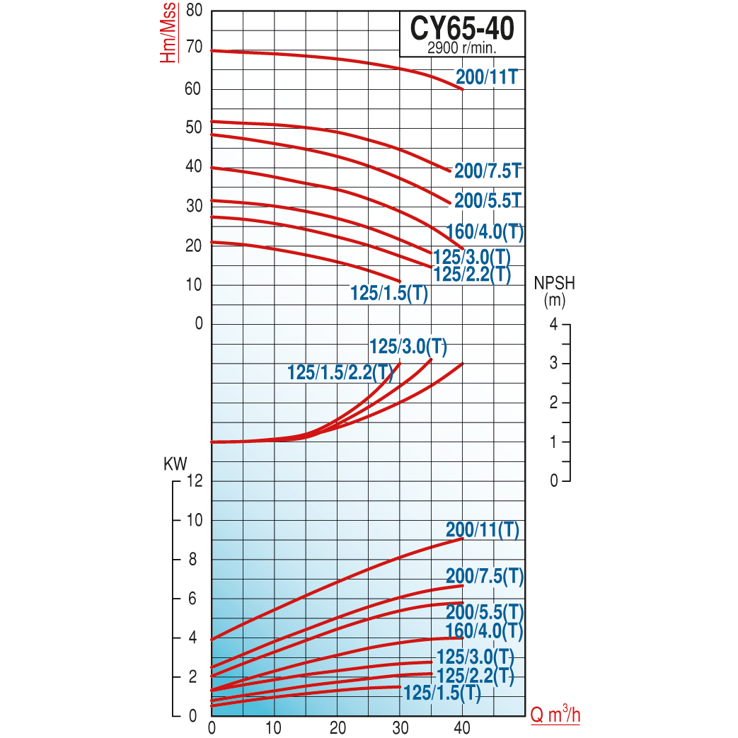 pompa-varan-cy-65-40-1252.2t-paslanmaz-4267-4.png