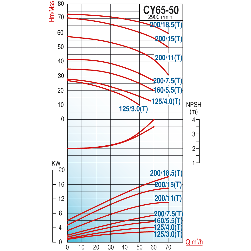 pompa-varan-cy-65-50-1605.5t-paslanmaz-05-4e4.png