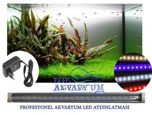 OrionLed Akvaryum Led Aydınlatma 70 Cm Gün Işığı 3000k