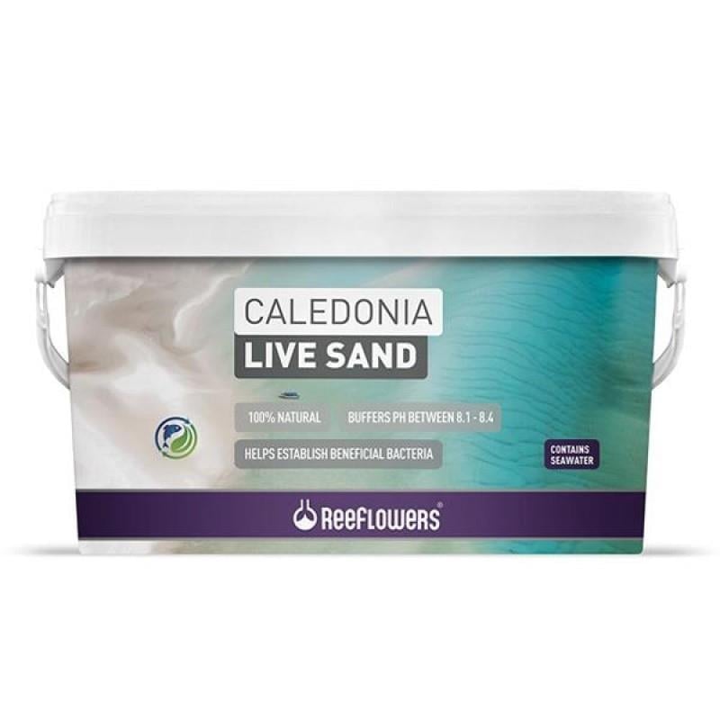 Reeflowers Caledonia Live Sand Purple 18Kg