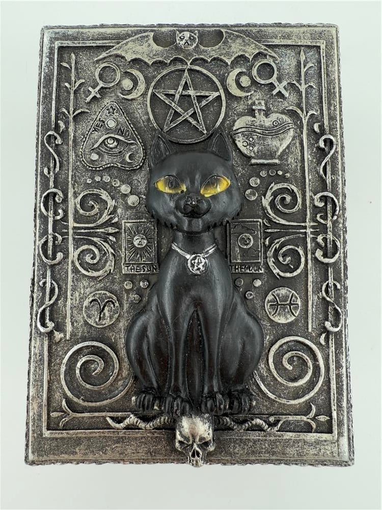 KARA KEDİ SAKLAMA KUTUSU