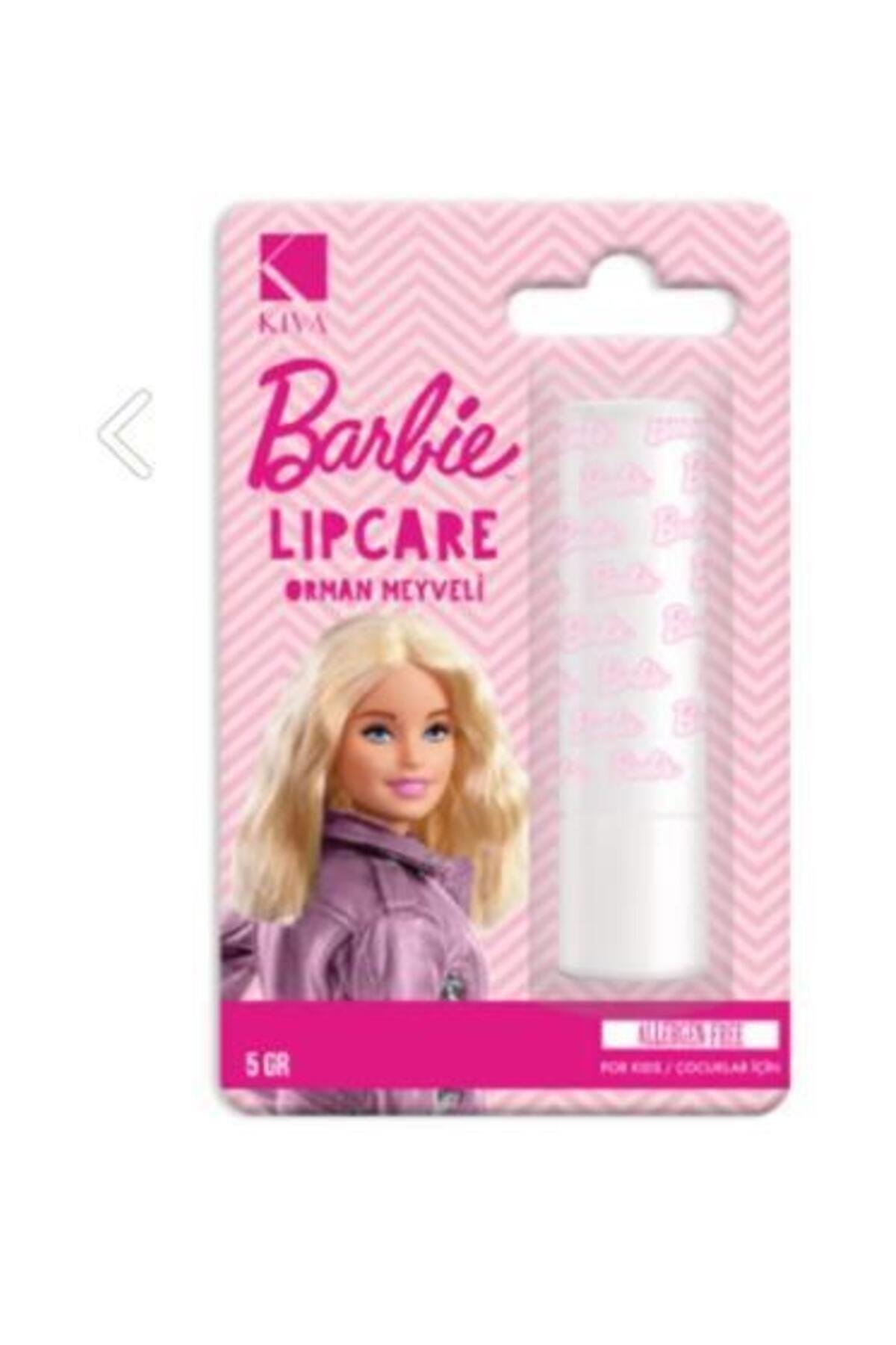 Lip Care Orman Meyveli 5 gr