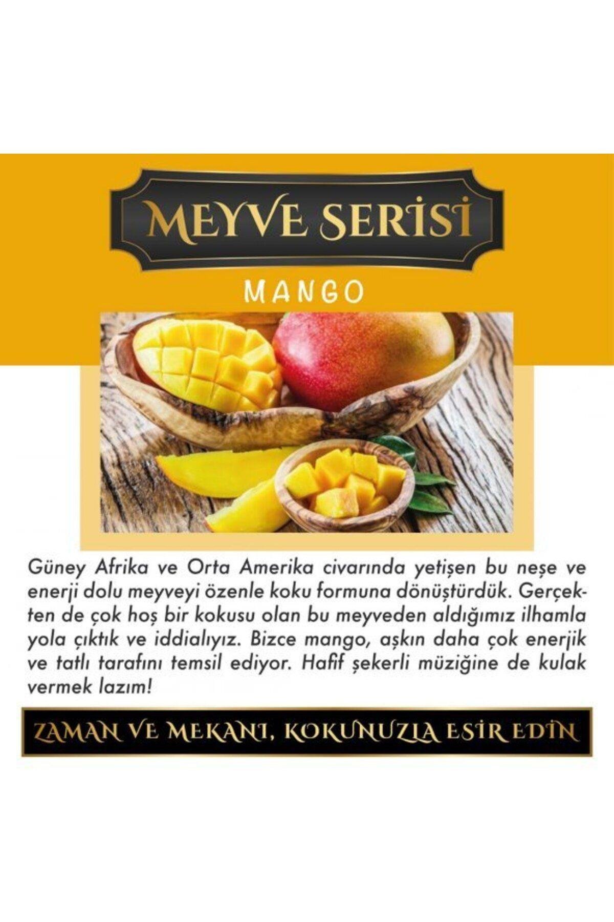 Meczub Meyve Serisi Mango 10 ml Üçgen Şişe Oto Kokusu Araç Araba Parfümü
