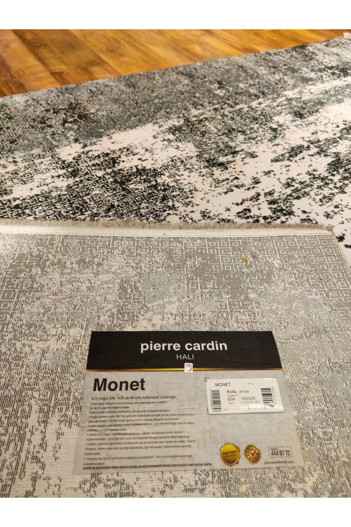Monet 43B