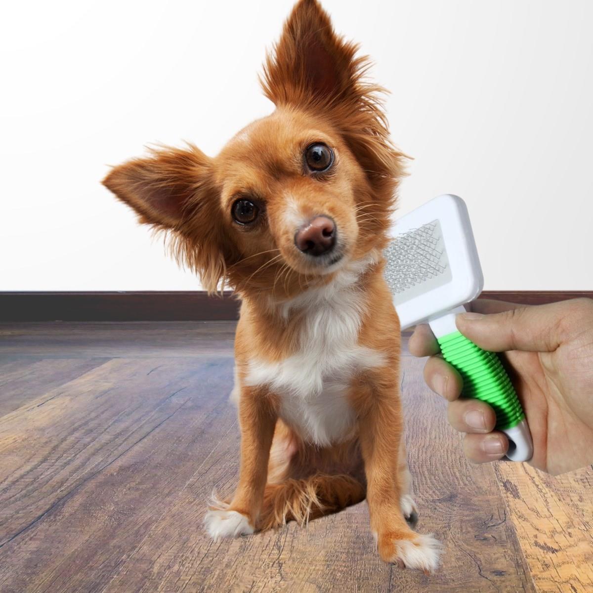 Kedi Köpek Telli Küçük Boy Tüy Bakım Seti Evcil Hayvan Tarama Fırçası (5110)