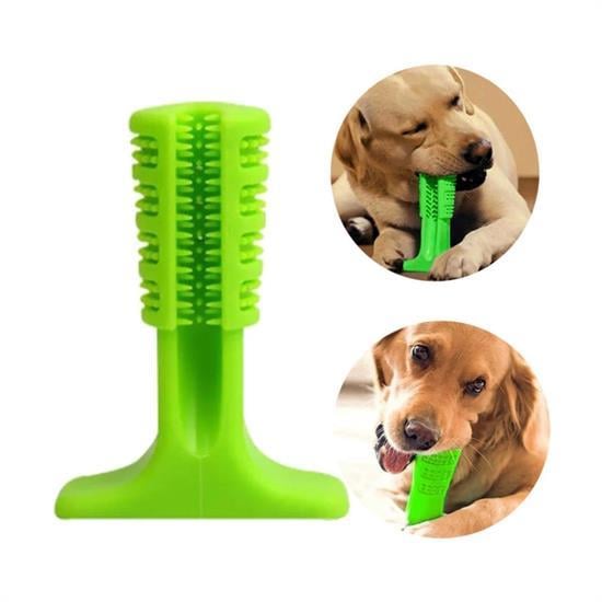 Köpek Diş Temizleyici ve Kaşıyıcı Sağlıklı Küçük Boy Oyuncak (5110)