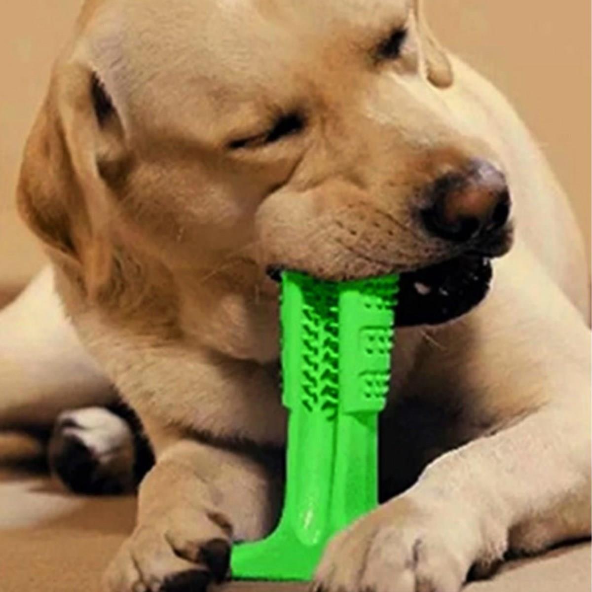 Köpek Diş Temizleyici ve Kaşıyıcı Sağlıklı Küçük Boy Oyuncak (5110)