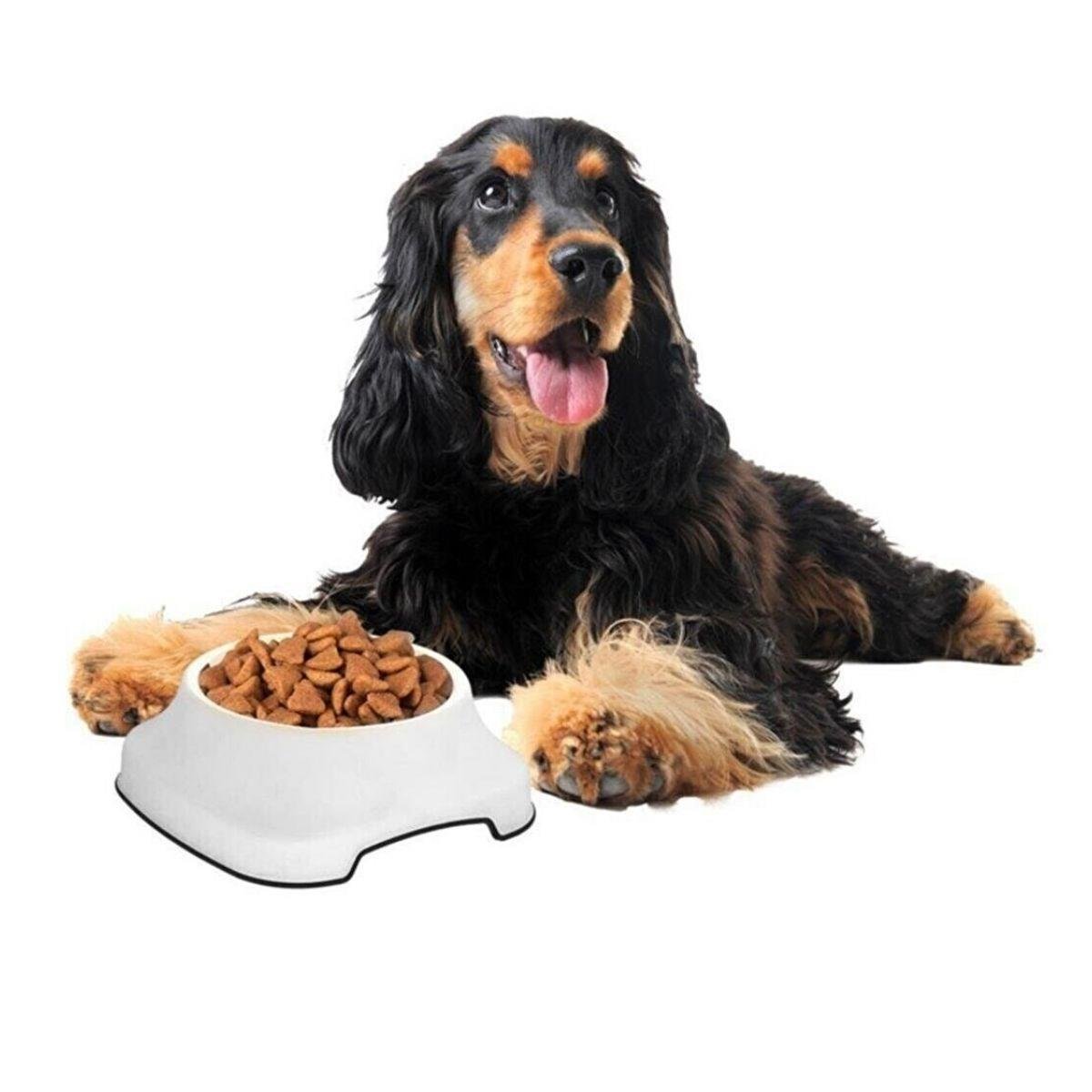Silikon Kaydırmaz Taban Plastik Kedi ve Köpek Mama ve Su Kabı 2 L (5110)