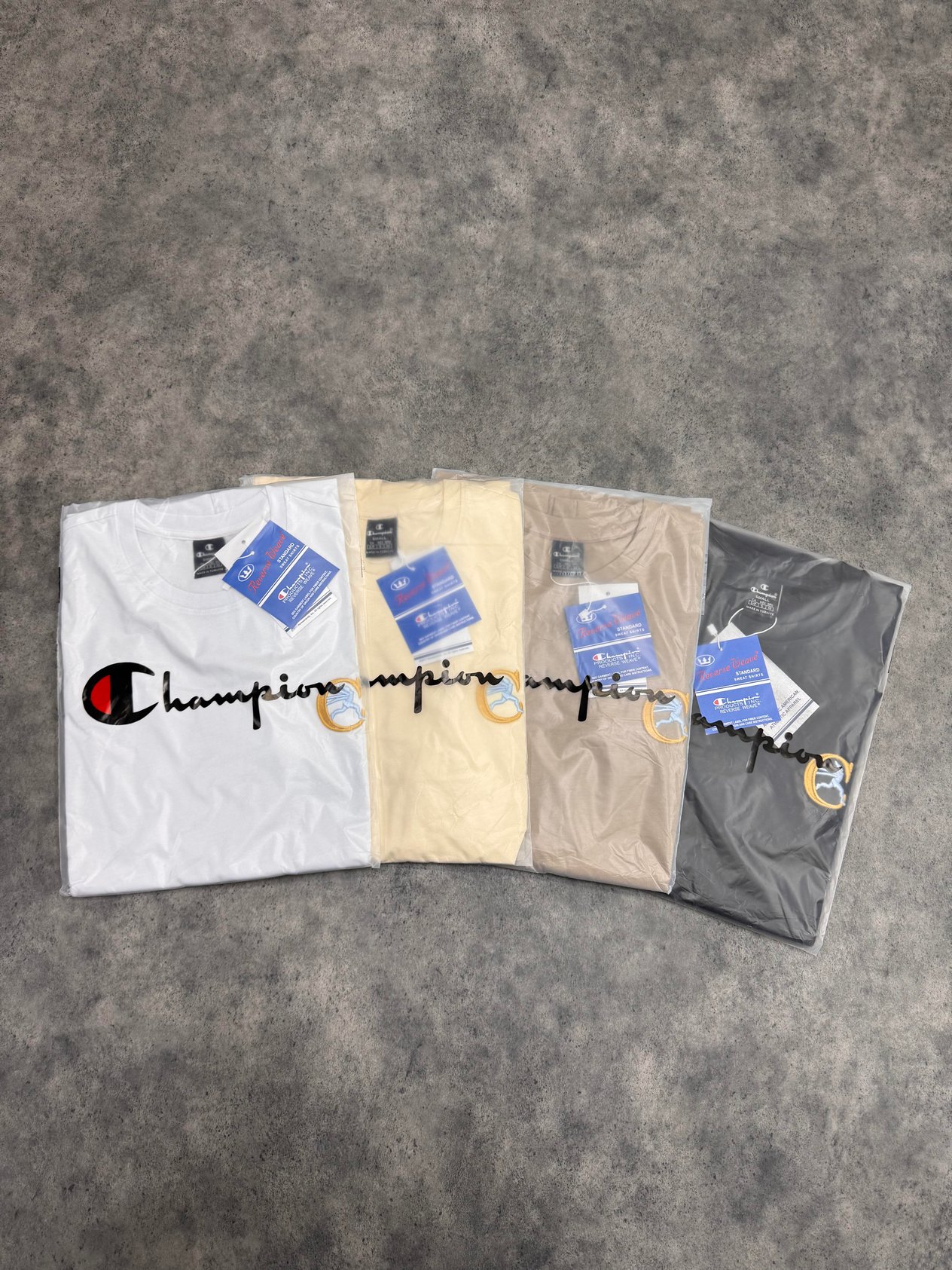Archive Crewneck T-Shirt | Bej