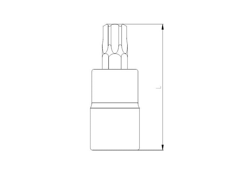 1113 Lokmalı Star Torx Uç 1/2