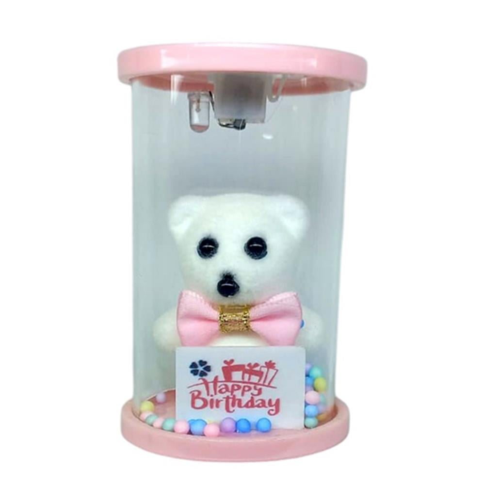 Cam Fanus Happy Birthday Işıklı Ayıcık Pembe