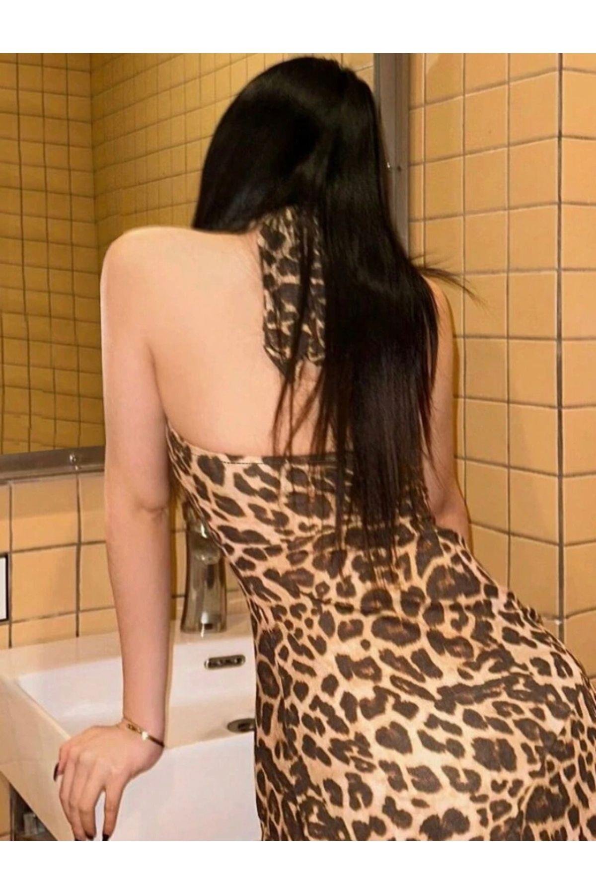 Leopar Desenli Halter Yaka Vücuda Oturan Transparan Pinterest Elbise