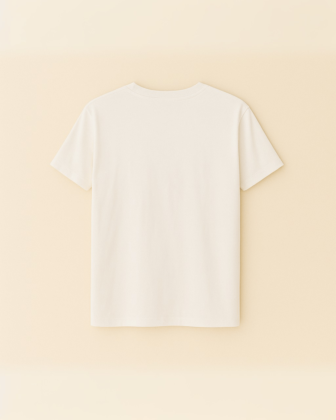 124330Erkek Çocuk Nakışlı T-Shirt 1-5 Yaş