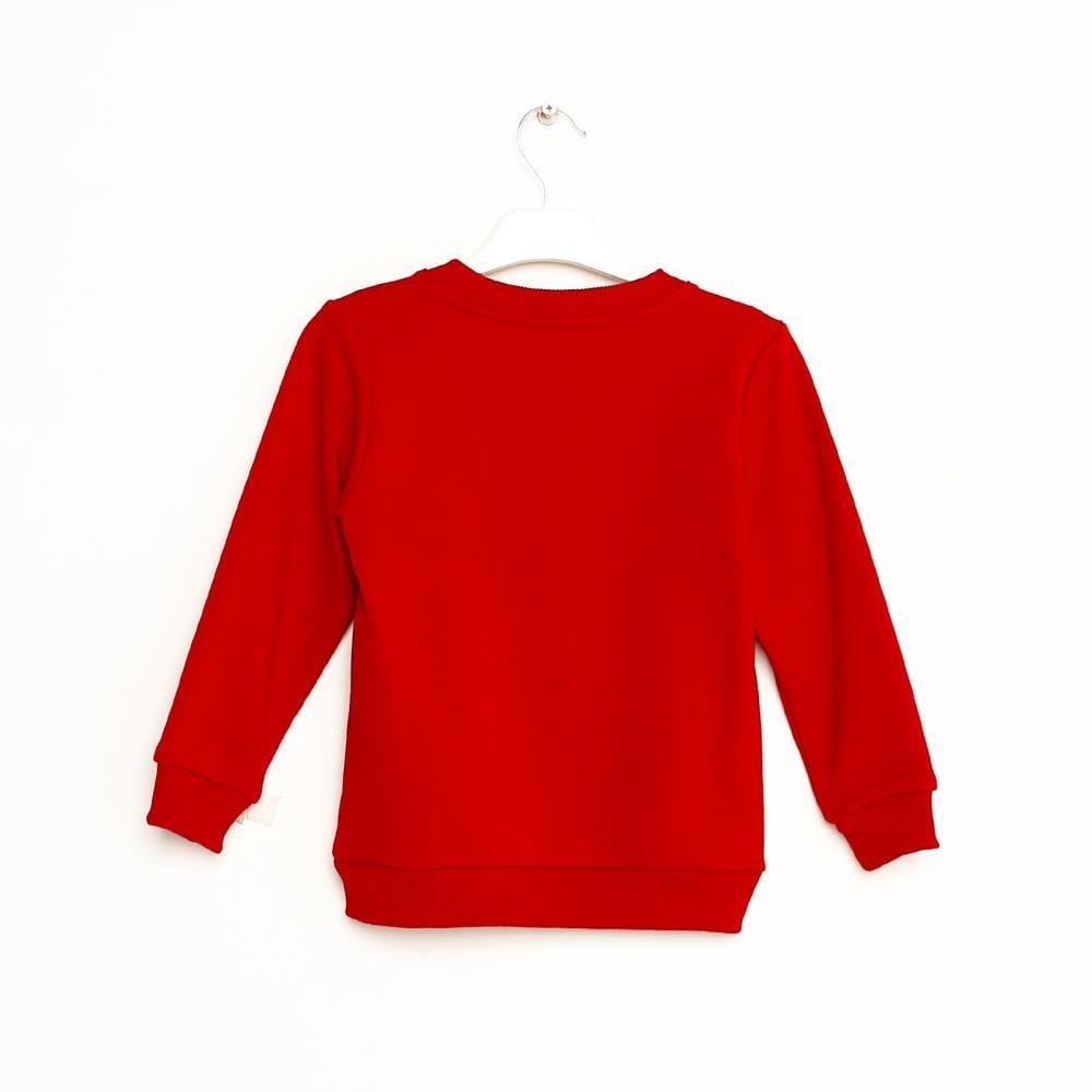 323308Erkek Çocuk Nakışlı Sweatshirt 1-5 Yaş