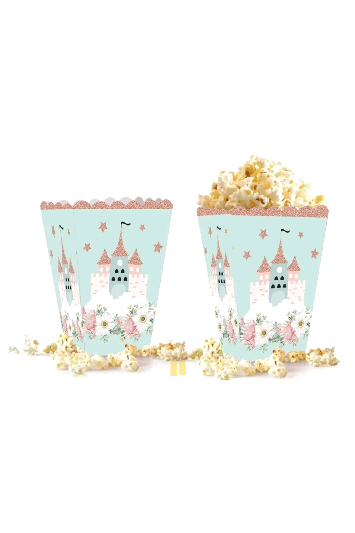 ŞATOLU PRENSES POPCORN MISIR KUTUSU