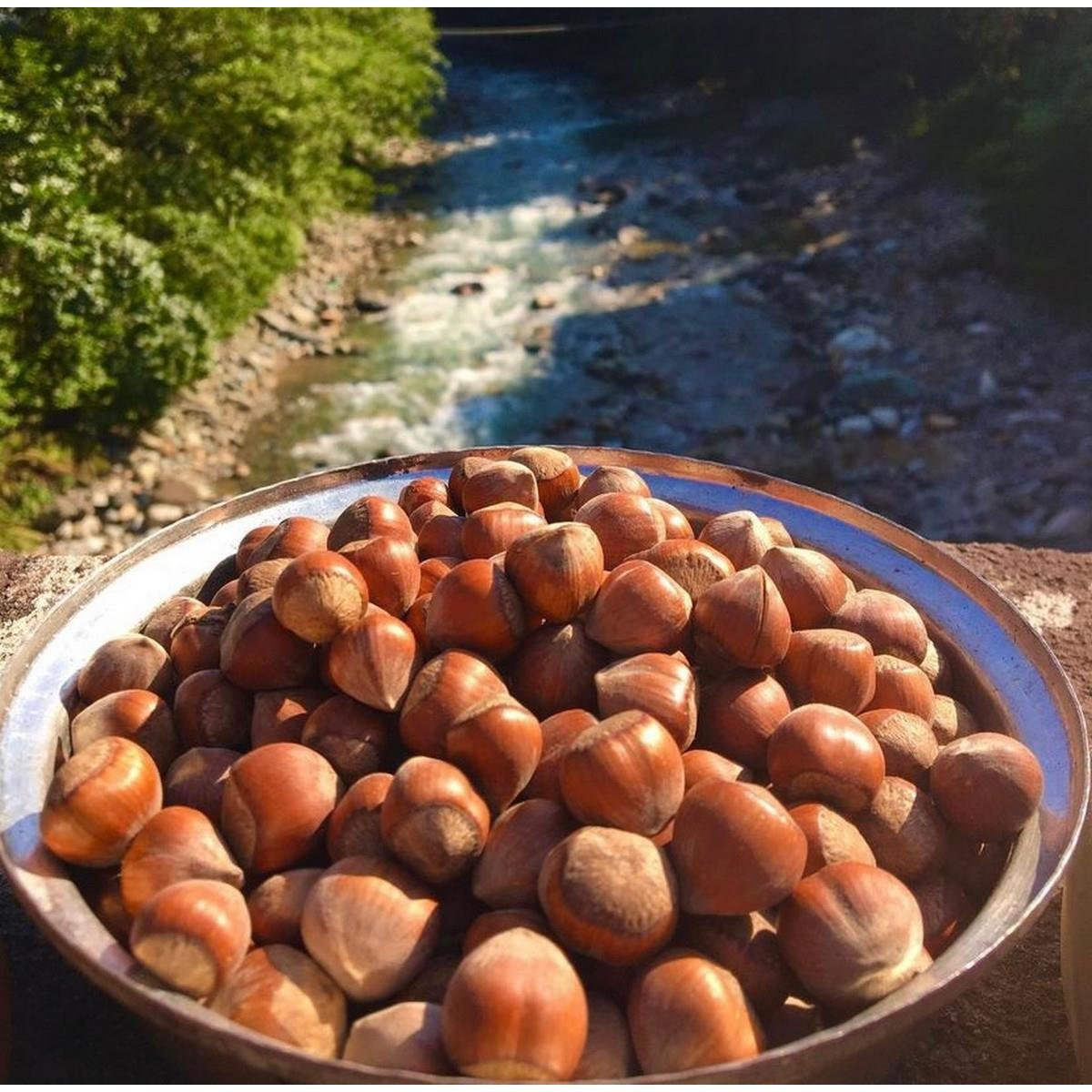 Fındık 1 KG