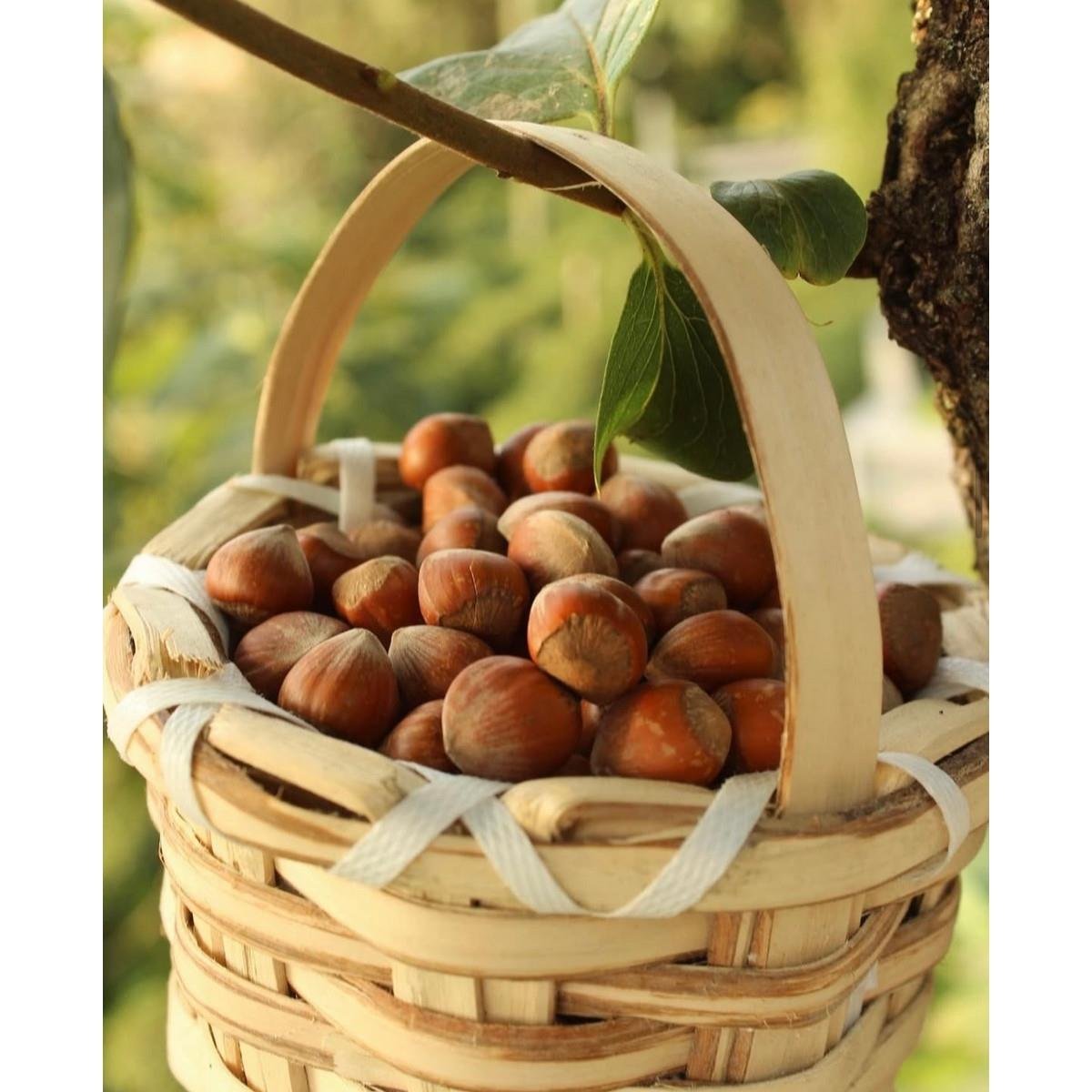 Fındık 1 KG