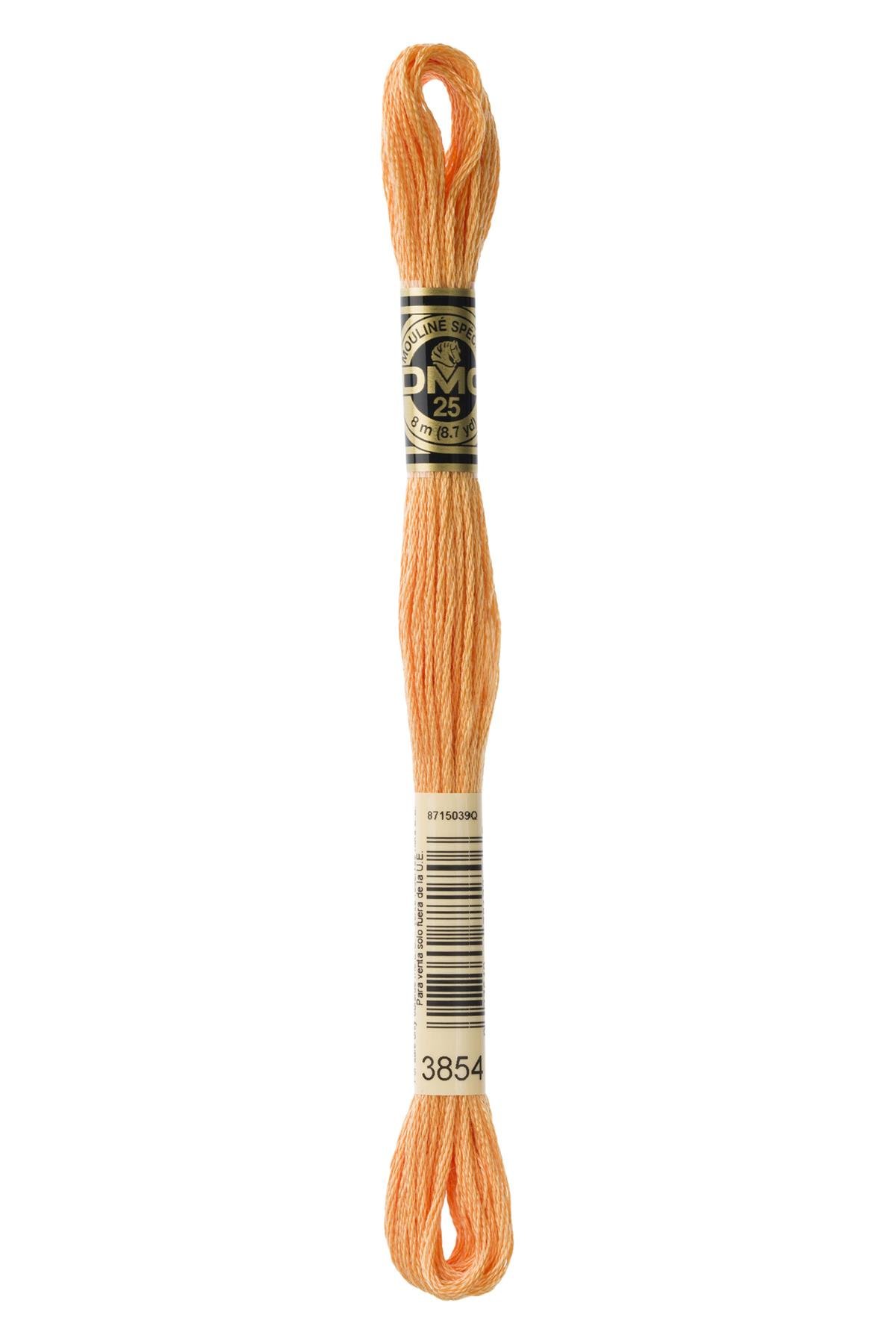 DMC MULİNE İPLİK 3854